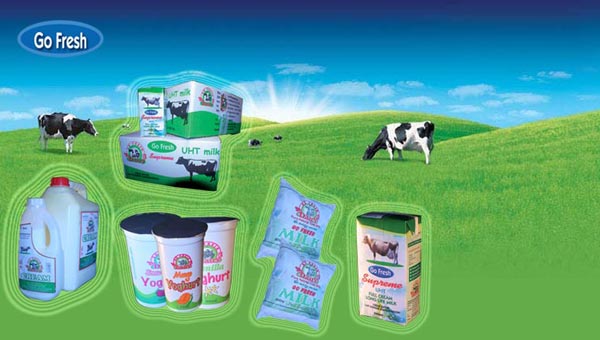 Image result for dairy producers from Uganda